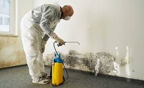 Best Residential Mold Inspection & Testing in Grandview, MO